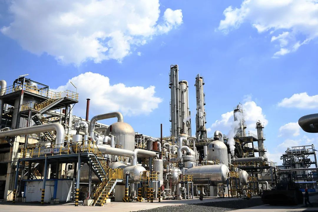 1703843487978498.jpg 1703843487978498.jpg