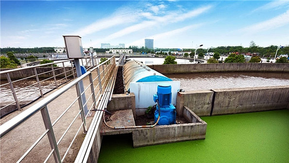 1706609786512162.jpeg 1706609786512162.jpeg