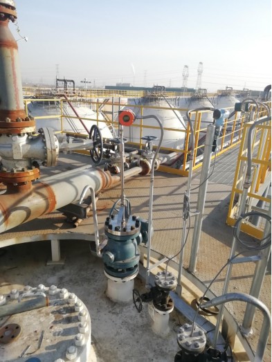 1709706815628763.jpg 1709607923209.jpg